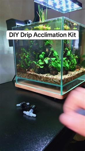 DIY Drip Acclimation Kit for Aquariums