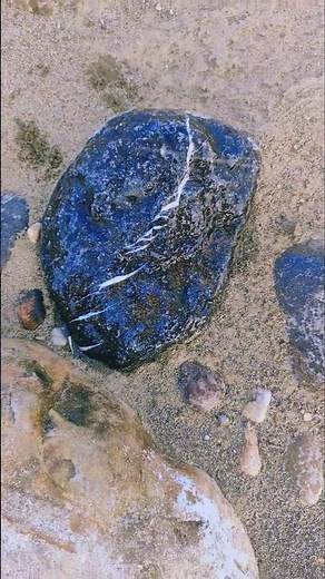 Amazing found blue valuable Agates lake superior rocks hunting #youtubeshorts #agatehunting #shorts