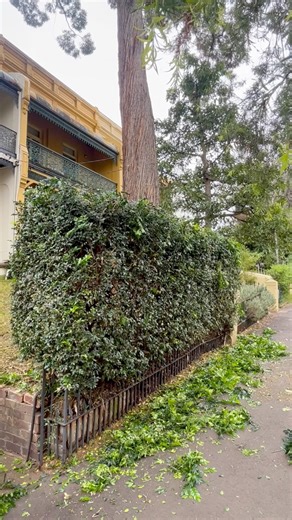 Excuse me, can I tidy up your yard today for free? | Nathans Lawns and Gardens
