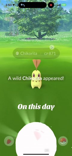 Finding Every Shiny Pokémon from Gen 2 with Zorua