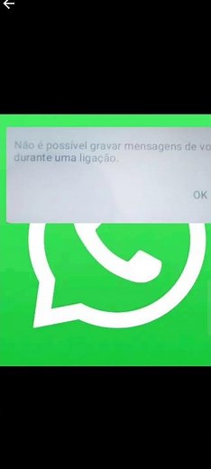 resolved on whatsapp: unable to record voice messages while recording
