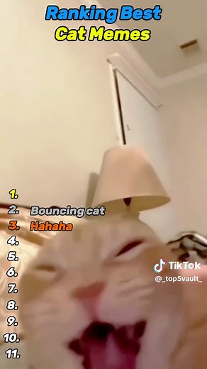 Top Cat Memes You Need to See!