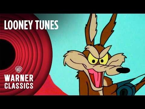 Looney Tunes | Wile E. Coyote vs Road Runner Full Episodes | Vol. 12 | Warner Classics