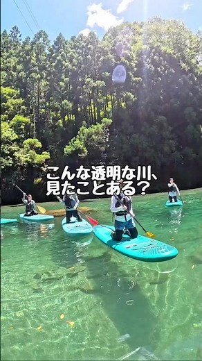 【高知・仁淀川】仁淀ブルーに１番近い場所でSUP体験、女性旅にオススメ！！にこ淵まで35分。GoPro撮影あり。有資格インストラクターで安心。カップルやファミリー、愛犬も!!