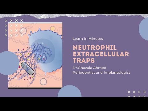 Neutrophil Extracellular Traps