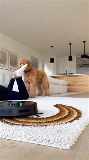 THE POOPOCALYPSE IS REAL!! My Robot Vacuum Turned Evil! 🤣 (AI) | Genius Panda