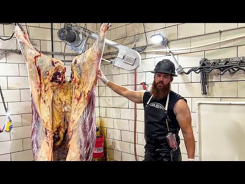 How to cut/split a Cow Carcass in Half | The Bearded Butchers.