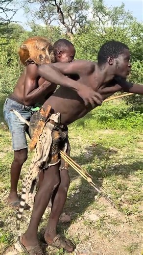 Predador Supremo: A Caça na Savana #Selva #África | सवाना का सबसे बड़ा शिकारी #जंगल #शिकार
