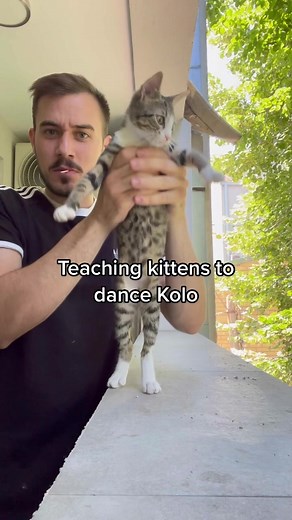 Teaching Kittens How to Dance Kolo