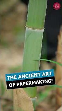 How Ancient Bamboo Paper is Made