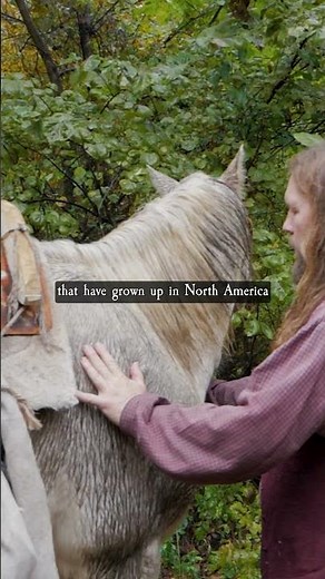 Longhunters In Early America #history #1700s