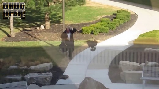 Man vs. Canadian Goose