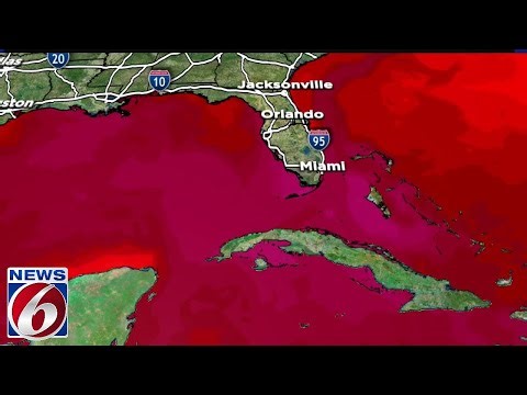 Record warm ocean temperatures threaten Florida’s coral reef