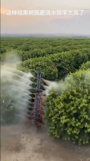 Centipede-Style Sprinkler Layout: Pros and Cons for Orchard Irrigation and Fertilization