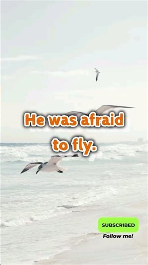 10th English Lesson 1. His First Flight easy short Paragraph. #10thclass #10thenglish