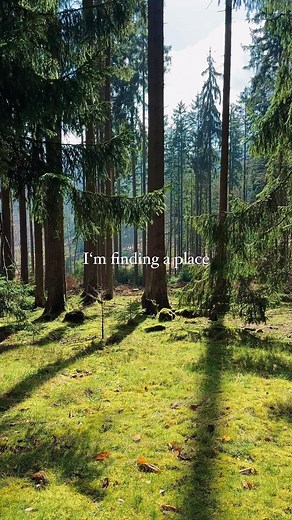 naturexplorers | videography on Instagram: "𝚐𝚘𝚒𝚗𝚐 𝚝𝚘 𝚝𝚑𝚎 𝚠𝚘𝚘𝚍𝚜 𝚒𝚜 𝚐𝚘𝚒𝚗𝚐 𝚑𝚘𝚖𝚎. • • • • • #nature #naturebeauty #naturelovers #naturephotography #naturegeography #wald #forest #forestphotography #calm #quotes #videoedits #_naturexplorers_ #hiking #peace #explorepage #woods #spring #springtime #naturephotography #explorepage #divineforest #tree_brilliance #woods #naturegeography #photography #naturephotography #explorepage #treephotography #forestlovers #inspiration"