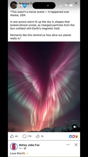 Coyote Calls and Smoky Prayers: Spirit Finds a Way