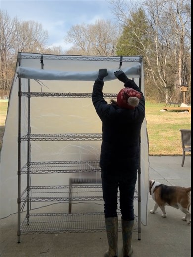 Budget Gardening: Trying a Zip-Up Greenhouse I get a lot of garden products to try and share, and I was pretty skeptical about this one. It’s similar to a thick shower curtain that fits over a shelf and zips up to create a small greenhouse. After using it, I can say it’s been a useful addition to my garden setup, especially for creating a more controlled space for seedlings. If you’re worried that gardening is getting expensive—especially when nursery plants can run around $5 each—this could be 