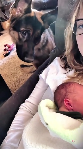 Dog and baby #emotionalvideo #heartwarming #surprisevideo #dog #baby