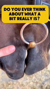 I never really understood what a bit was. I just thought them part of what horses should wear for me to ride. I didn’t realize that bits, which connect directly to my hand, press against the most sensitive parts of a horse’s mouth: the tongue, and the bars, which are just bone, covered by a thin layer of skin and nerves. Research has shown that the bar area is highly sensitive to pressure and pain. Imagine someone pulling on a metal bar resting on your shin where it’s just skin over bone. Even l