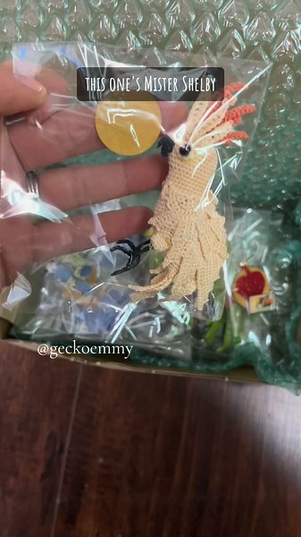 You’re going to be amazed by this sweet fan art! Thank you so much, Lena from Denmark 🇩🇰 She crafted each parrot to look just like the originals and I’m blown away! #parrotsoftiktok #fanart #rescueparrots