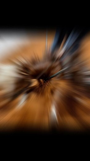 💥 Four Sixes Ranch Stallions have had exceptional performers at the NRCHA Snaffle Bit Futurity, American Rope Horse World Championships and the Brazos Bash! These photos represent some of the talent showcased in our 6666 Ranch News. 📲 Sign up today to receive our ranch news and updates! >>>https://conta.cc/3tBA19r #FourSixesRanch | #6666Ranch | #66666RanchStallions| #KitKatSugar | #BetHesaCat | #BoonTooSuen | #WRThisCatsSmart | #Bamacat | #NRCHASnaffleBitFuturity | #BrazosBash | #ARHFA | #Sire