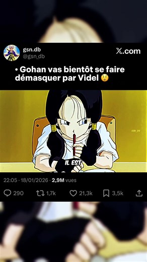 #dragonballz #dbz #gohan #videl #anime