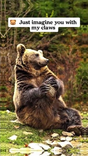 What humans could look like if they evolved from other #animals #humans #evolution