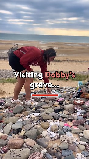 5.8K views · 19 reactions | They travelled over 200 miles to pay respects to Dobby ❤️ |  @lauriealyceadventures #harrypotter #dobby #dobbysgrave #wales #visitbritain | Love GREAT Britain | Facebook