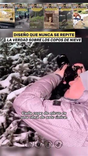 ¿Sabías que ningún copo de nieve es igual a otro? Lo que estás viendo fue capturado por el fotógrafo Dmitriy Dotsenko, quien dedicó años a desarrollar una técnica con lentes de aumento para fotografiar copos reales antes de que se derritieran. ❄️ Cada uno de ellos es una estructura única de hielo que se forma cuando el vapor de agua se congela alrededor de una partícula microscópica en la atmósfera. A medida que descienden, las variaciones en la temperatura y humedad alteran su crecimiento, dand