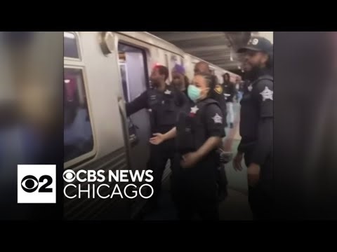 Video shows brawl on CTA Red Line train
