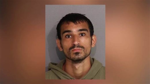 Suspect arrested, sheriff identifies victims after 3 tourists killed in Osceola County