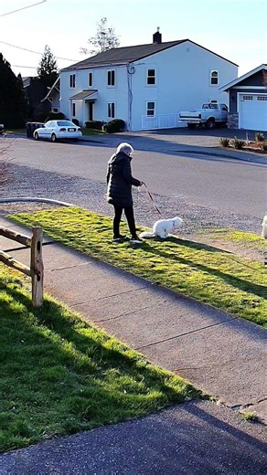 gross nasty dog taking a dump. Lynden poo worship