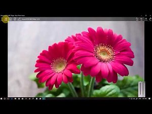 Best Photo Viewer For Windows 10