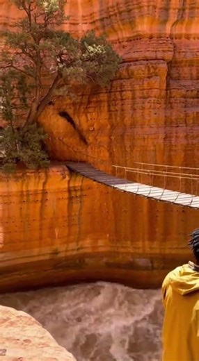 OUTSMARTED! Genius Mandrill Uses Masterful Tactics to Escape a Leopard