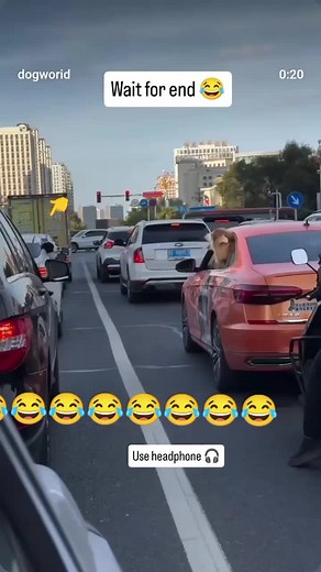 #funny😆 #vdeo🤣🤣 #foruyou😂 #goviral #viral