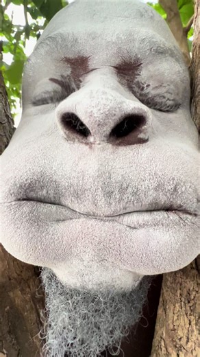 Exploring the Hilarious World of Ahoufe Video Trends