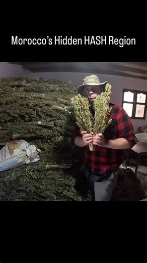 Elliot Smith on Instagram: "I went deep inside Morocco’s Dodgy Hash Smuggling Region and this is what I learned! #Morocco #hash #marijuana #travel #africa"