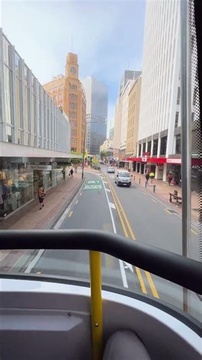 A Scenic Bus Ride Through the Wellington City