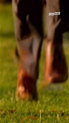 250 reactions · 5 comments | A violent mob chases a man through Miami, leaving the CSI team to piece together what really happened. Horatio and his detectives won’t stop until every clue is uncovered. Watch CSI: Miami weekdays at 3/2c on CHARGE. | Charge TV | Facebook