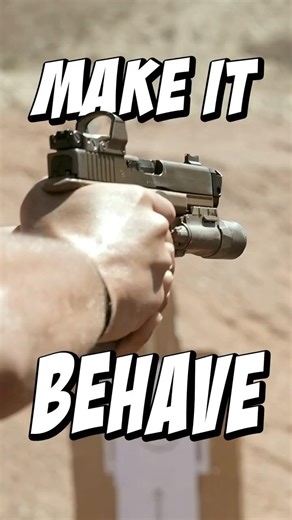 Make the Gun Behave