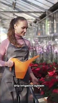 Essential Greenhouse Tools & Seed Starting Supplies (Beginner Must-Haves)