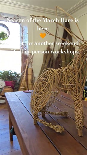 Learn to weave Willow with me #learntoweave #seasonalliving #willow