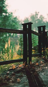 old wooden fence and hiking path through forest