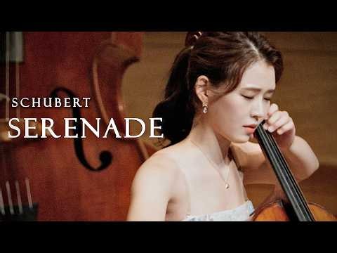 Schubert - Serenade🖤Cello + Piano | 첼로댁