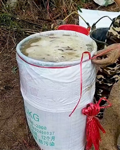 Store Liquids Safely with Proper Containers ＃FoodStorage ＃Fermentation ＃LiquidStorage | Fatafatnews