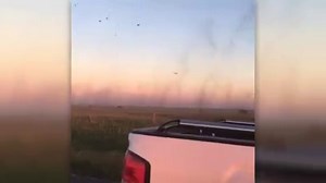 Have you ever seen a 'bugnado'? Check out the swirling swarms of fish flies caught on camera in a Saskatchewan field this week. #ShareYourWeather | The Weather Network