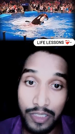 Don't trust anyone blindly 🥲❤️‍🩹.. | HEY MS