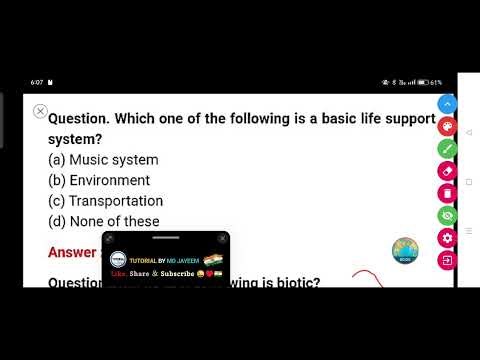 Which one of the following is a basic life support system?