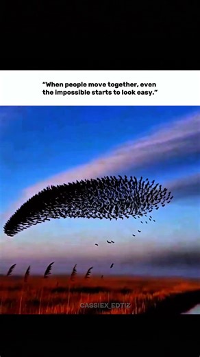 “Thousands Move as One | The Real Power of Unity”#unity #powerofunity #togetherwearestrong #teamwork